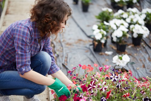 Team member preparing mower in Wimbledon garden