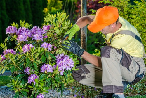 Secure payment icon over a lawn mower for Wimbledon mowing service