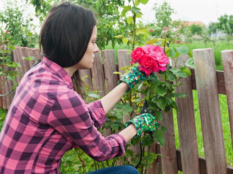 Equipment and safety checks before a mowing visit