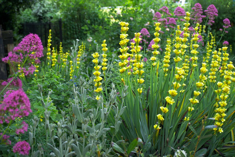 Close-up image of a garden with various flowering plants, including two tall, slender stems with blooming white and yellow flowers at the top, alongside a purple flowering plant with small clustered b