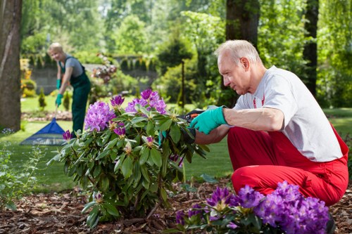 Seasonal lawn mowing services enhancing Wimbledon gardens
