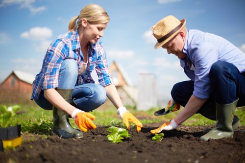 Expert lawn care professionals servicing a Wimbledon household